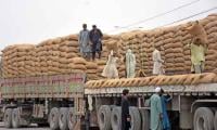 ECC Approves Wheat Sale
