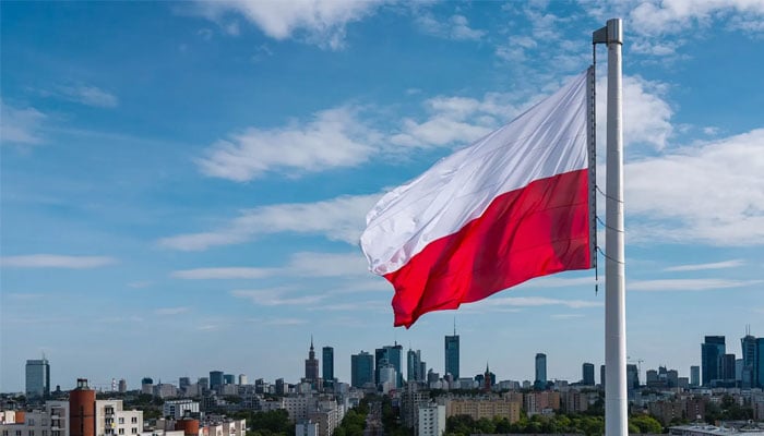 Representational image of the Polish flag. —Polish Presidency website/File
