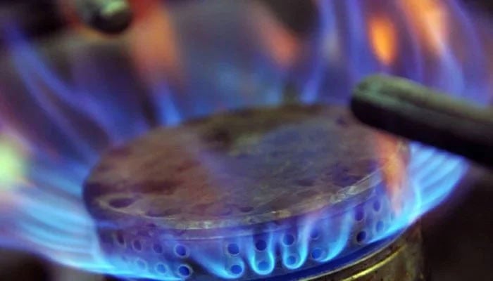 Rising gas bills: experts ask PM to end monopoly