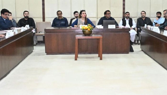 Senator Bushra Anjum Butt chairing the meeting of the Senate Standing Committee on Federal Education and Professional Training on February 27, 2026. — Facebook@Pakistansenate/