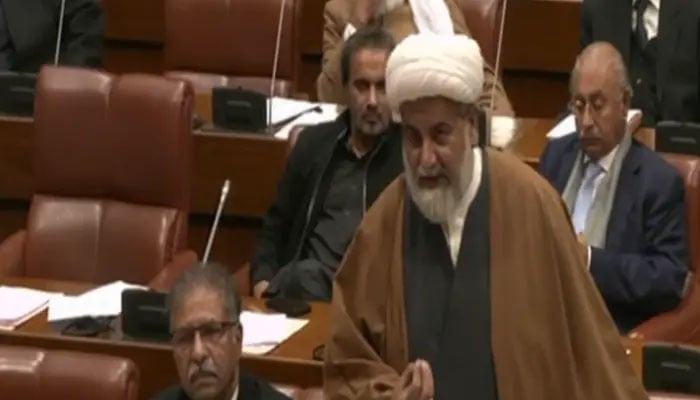 Senate Opposition Leader Allama Raja Nasir Abbas addresses the House. — Screengrab via Senate of Pakistan/ YouTube/File