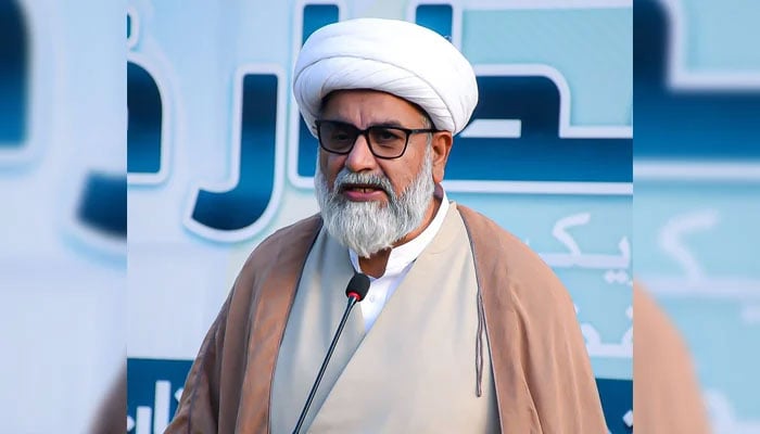 Leader of the Opposition in the Senate, Senator Allama Raja Nasir Abbas, is seen in this image. — Facebook@allamarajanasirmwm/File