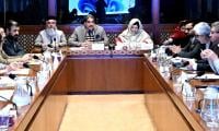 Senate Panel Reviews Pak-PWD Staff Transfer, Salary Compliance