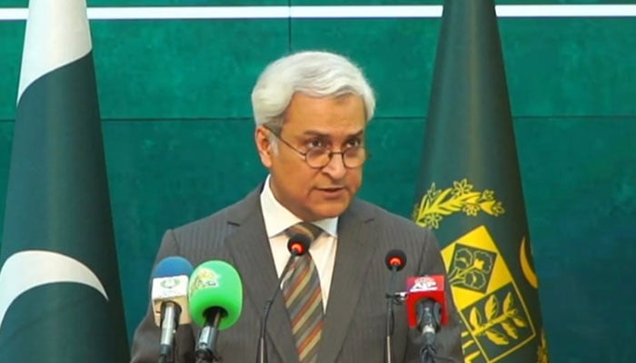 Foreign Office spokesperson Tahir Hussain Andrabi addresses weekly press briefing on October 31, 2025 in Islamabad. — Screengrab X@ForeignOfficePk