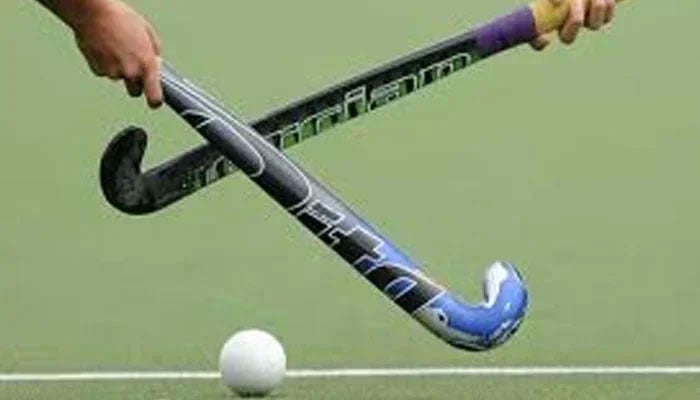 Representational image of hockey sticks. — TheNews/File