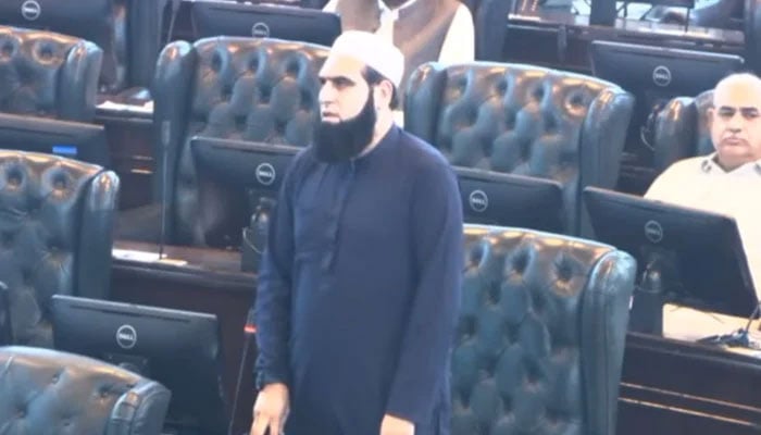 Khyber Pakhtunkhwa Minister Dr Amjad Ali  speaks in the KP Assembly on September 23, 2024. — Screengrab via Facebook@Dr Amjad Ali