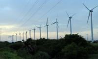 ‘Renewables At Risk As Wind Power Throttled’
