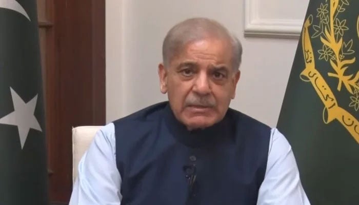 PM Shehbaz Sharif addresses nation on March 20, 2026. — Screengrab via Geo News