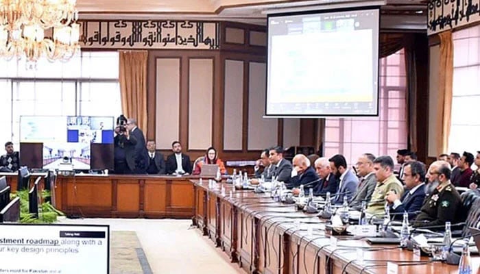 SIFC takes note of Chinese firm’s allegations of being wronged in KP