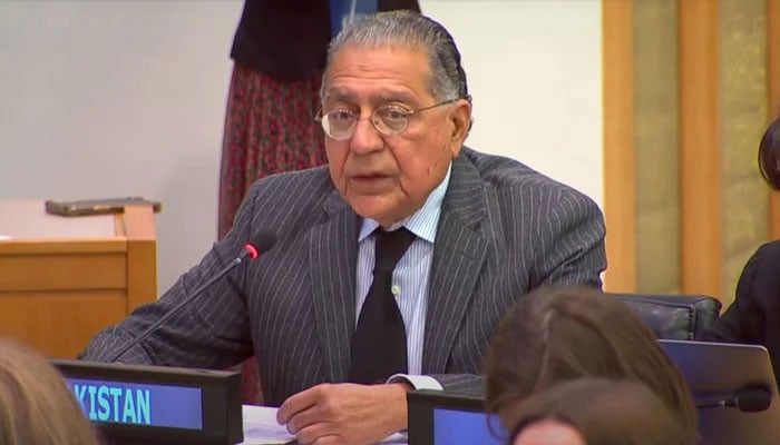 Pakistans former permanent representative to the United Nations, Munir Akram. — APP/File