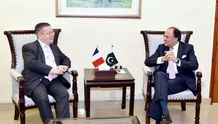 French Ambassador Nicolas Galey (left) exchanges views with Finance Minister Muhammad Aurangzeb during a meeting. — APP/File