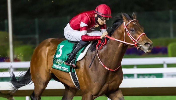 The representational image shows a rider in action. — Facebook/Groups/Thoroughbred Racing Updates