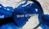 UAE Willing To Join International Force To Reopen Strait Of Hormuz, FT Reports
