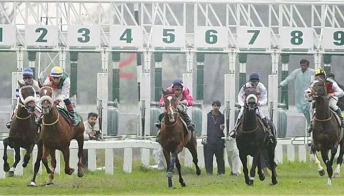 A representative image of a horse race. — APP/File