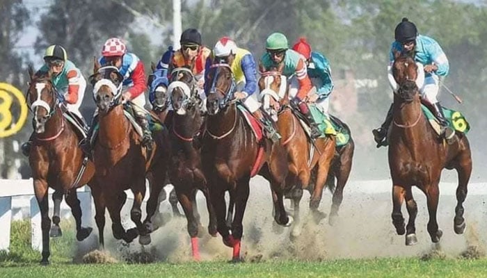 A race going on at the Lahore Race Club. —LRC website/File