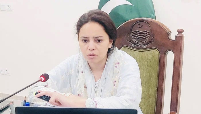 Commissioner Lahore Division Marryam Khan chairs a divisional meeting to review anti-dengue, anti-smog and flood relief operations on September 3, 2025. — Facebook@commissionerlahoredivision