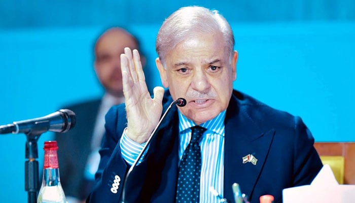 Prime Minister Muhammad Shehbaz Sharif addresses a delegation of prominent Pakistani Businessmen and investors, February 10,2025.— APP