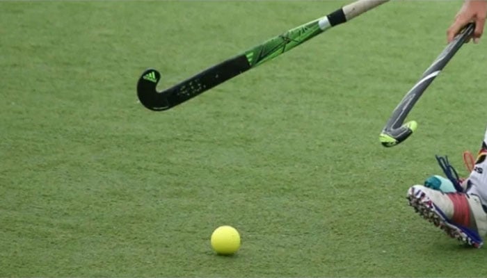 A representational image of hockey. — Radio Pakistan/File