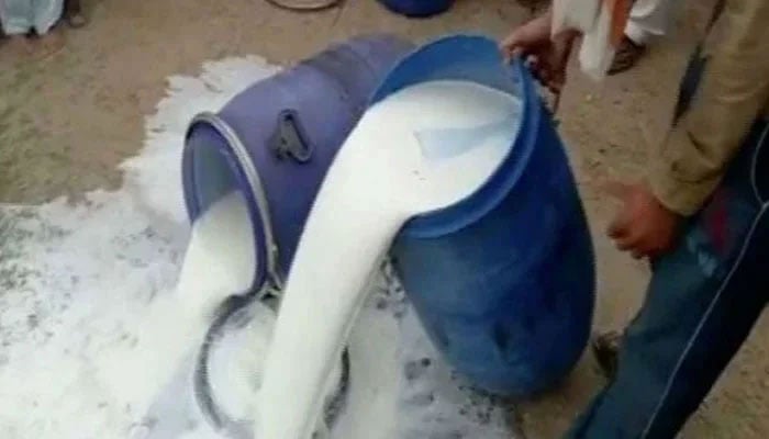 This image shows people discarding substandard milk. — APP/File