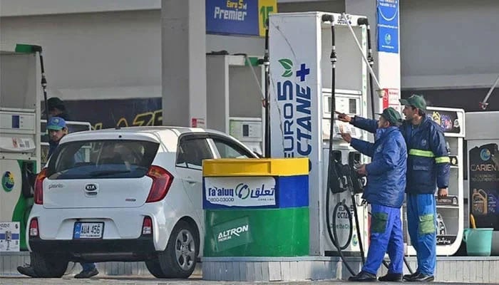 Experts see petrol price shock as painful but necessary