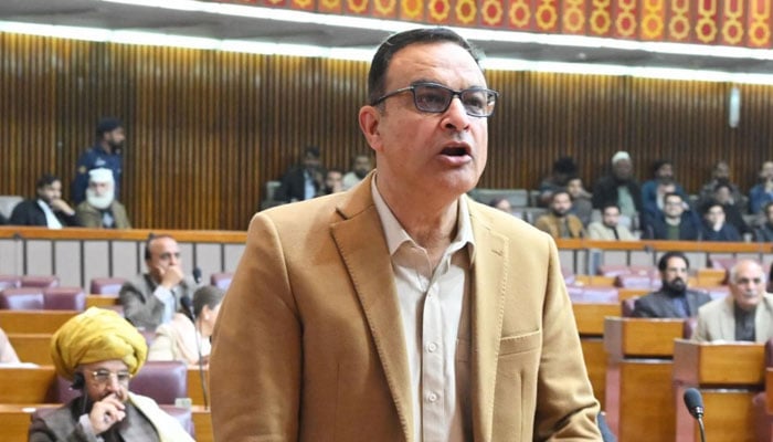 Noor Alam Khan, a member of the National Assembly belonging to Jamiat Ulema-e-Islam Fazl (JUIF). — Facebook@Noor Alam Khan/File