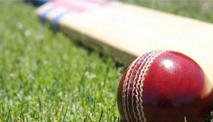 The representational image shows cricket bat and ball on a cricket field. — Reuters/File