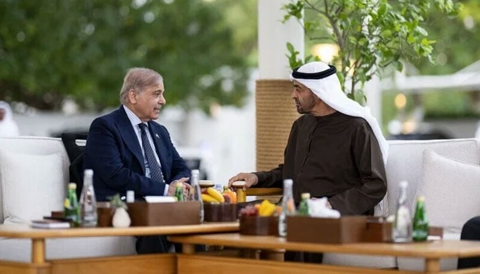Prime Minister Shehbaz Sharif meets President of UAE Sheikh Mohamed bin Zayed Al Nahyan in Abu Dhabi, on the sidelines of the World Governments Summit, February 11, 2025. — X/@PakPMO