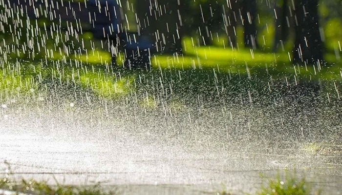 This representational image shows heavy rain. — APP/File
