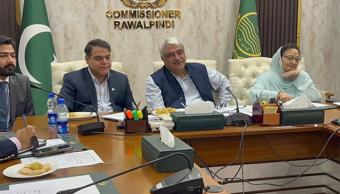 Punjab Health Minister Khawaja Salman Rafique chairing a meeting on April 6, 2026. — Facebook@SalmanRafiquePK