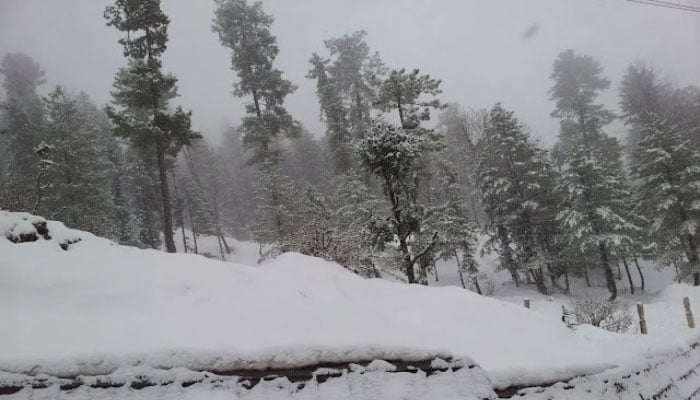 A representational image of hills and trees covered in snow in the northern areas of Pakistan. — APP/File