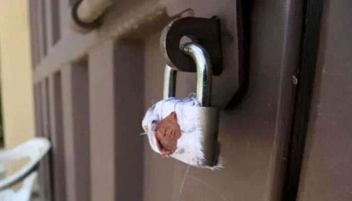 Representational image of a sealed door. — APP/File