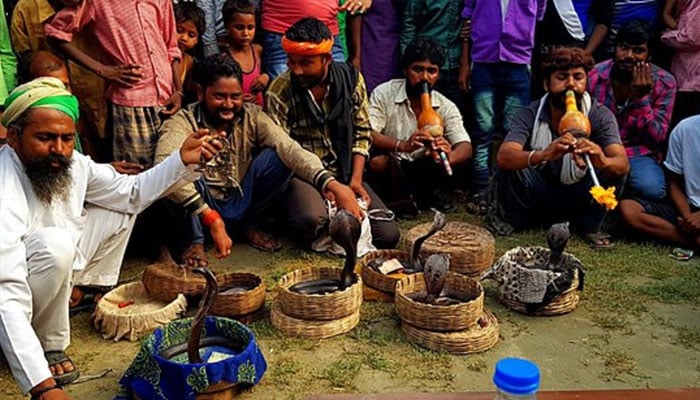 Traditional Snake Charmers Performing in India. —Wikimedia Commons/File