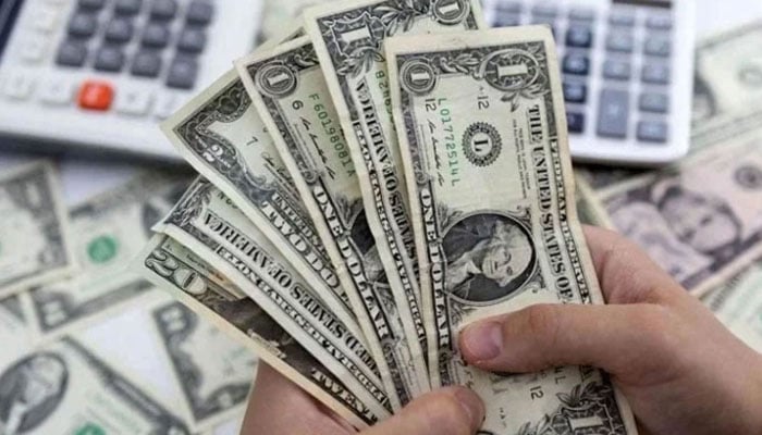 A representational image of US dollar bills. — Reuters/File