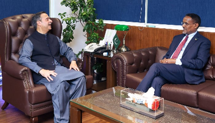 Federal Minister for Maritime Affairs Muhammad Junaid Anwar Chaudhry and Ethiopian Ambassador Dr. Oumer Hussien, during a meeting. —APP