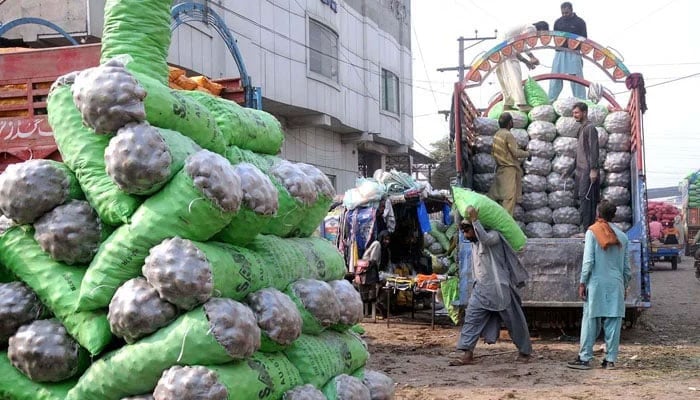 Labourers unload the potato bags from a delivery truck at Vegetable Market in Multan on December 26, 2024. — APP