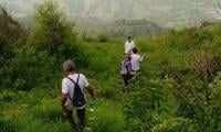 Margalla Hiking Trails Closed