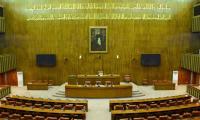 20pc Senate Agenda Driven By Women Lawmakers: Fafen
