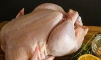 PFA Discards Unhealthy Poultry During Crackdown