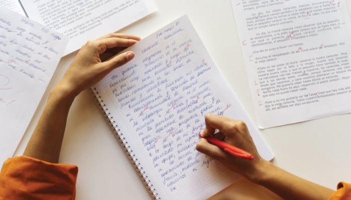 A representational image of a female writer. —TheNews/File