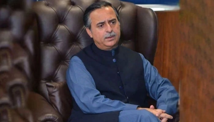 Federal Minister for Maritime Affairs, Muhammad Junaid Anwar Chaudhry looks on in this image. — APP/File