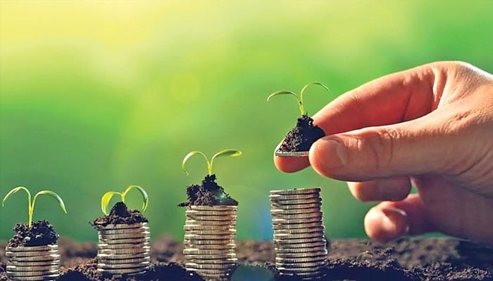 A hand placing a small plant on stacks of coins, symbolising gradual financial growth and investment.—TheNews/File