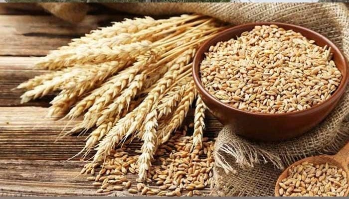 The representational image displays wheat grains, a staple agricultural commodity. — The News/File