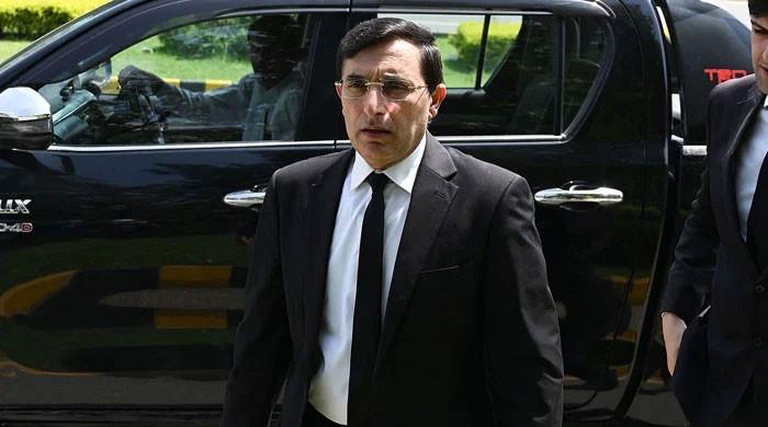 Gohar praises Pakistan global diplomacy, urges ‘domestic ceasefire’