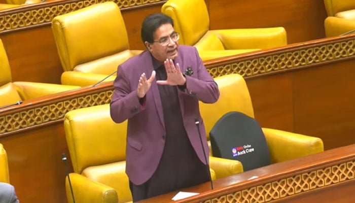 PMLN Chief Whip Rana M Arshad speaking at the floor of the Punjab Assembly on April 15, 2026. — Facebook@ProvincialAssemblyofPunjab/Screengrab