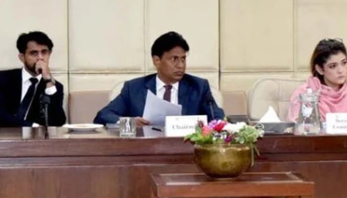 Senator Zamir Hussain Ghumro chairing the meeting of a Senate Standing Committee. —Facebook@Pakistansenate/File