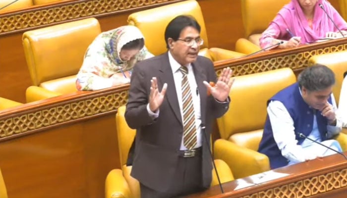 MPA Rana Arshad speaking in the Punjab Assembly  on April 16, 2026. — Facebook@ProvincialAssemblyofPunjab/Screengrab