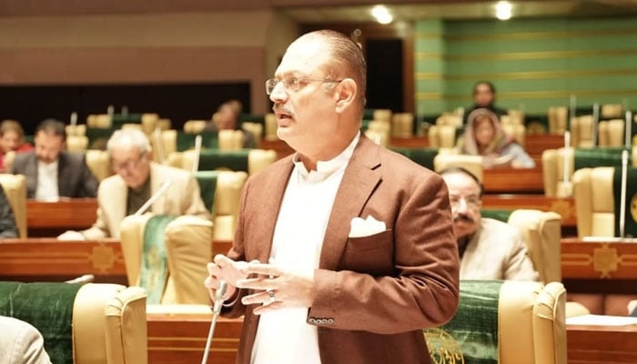 Sindh Senior Minister for Information and Transport Sharjeel Inam Memon speaks in the Sindh Assembly session on January 30, 2026. — Facebook@rawalsharjeelmemonSIM