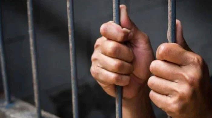 Violence suspect held