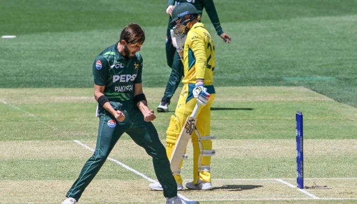 Pakistan pacer Shaheen Shah Afridi celebrates after dismissing Jake Fraser-McGurk during the second ODI at Adelaide Oval on 8 November 2024. — AFP