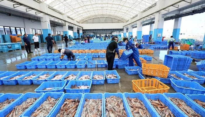 Fishery workers sort out seafood caught in offshore trawl fishing at Matsukawaura port in Soma City, Fukushima prefecture on September 1, 2023. — AFP